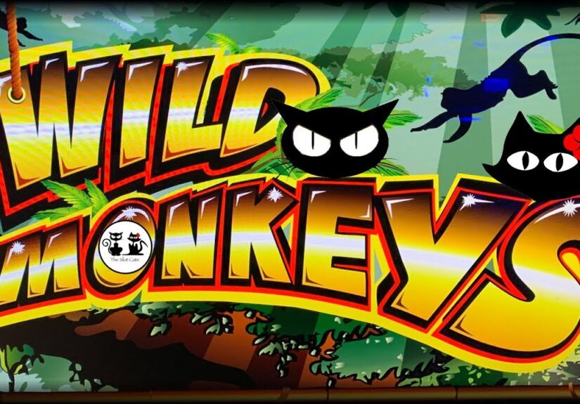 Wild Monkeys Slots